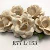  Solid Beige Cream Sweet Moon Large Sweet Moon Paper Roses for wedding and craft, supply by iamroses Thailand