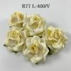 25 Large 2" White - Yellow Edge Variegated Roses
