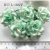 25 Large 2" White - Mint Green Edge Variegated Roses