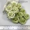 25 Large 2" Mixed JUST 2 Soft Green Tone Roses