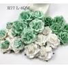 25 Large 2" Mixed 4 Color Roses (15/166/450/450C)