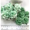  25 Large 2" Mixed JUST 2 Mint Green Tone Roses
