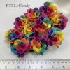 25 Large 2" Special Hand Dyed Candy Roses