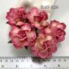 Large 2" Cream - Pink Edge Variegated Tea Roses (new)