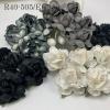 25 Large  2" or 5 cm - Mixed 4 Tea Roses (247/247-V/723/15)