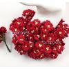 50 Small 1" Fussy Daisy Solid Red Flowers (A)