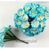 50 50 Small 1" Fussy Daisy White -Turquoise Blue EDGE Variegated (A)