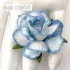 25 Large  2" or 5 cm - White - Baby Blue Edge Edge Variegated Tea Roses 