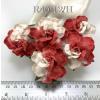25 Large  2" or 5 cm - Half White - Red Tea Roses