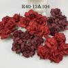25 Large 2" Mixed Just Solid Burgundy and RED