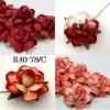 25 Large  2" or 5 cm - Mixed 4 Red Tea Roses (12/12-H/99/501)