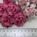  2" Mixed Soft Pink and PINK Tea Roses