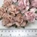 Large 2" Mixed Soft Pink and BLUSH Pink Tea Roses