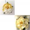 25 Large  2" or 5 cm - Mixed JUST 2 Yellow Edge - Half Tea Roses