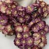 50 Small 1" Mixed - Fussy Daisy Flowers (One Time Offer)
