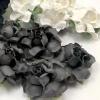 50 Medium May Roses (1-1/2"or3.75cm) Mixed JUST Charcoal Grey - White Flowers