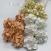 50 Medium May Roses (1-1/2"or3.75cm) Mixed 3 Pastel Flowers (15/50/147)  
