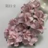 50 Medium May Roses (1-1/2"or3.75cm) Solid Soft Pink Flowers