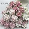 50 Medium May Roses (1-1/2"or3.75cm) Mixed 5 Pinks (2/15/42/518/921)