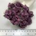 50 Medium 1.5" Solid Mauve Purple May Roses