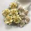 50 Medium May Roses (1-1/2"or3.75cm)  Mixed Cream - Beige Flowers