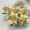 50 Medium May Roses (1-1/2"or3.75cm) Solid Cream Yellow Flowers