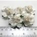 25 Medium 1.5" WHITE paper May Roses