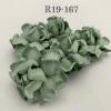 50 Small 1" Solid Dusty Green May Roses