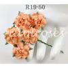 50 Small 1" Solid Peach May Roses