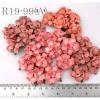 50 Small 1" Mixed Coral Red - White (99-H/99-V/15)