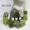 100 Mini 1/4" or 1cm Mixed All Green - WHITE Open Roses