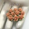 100 Mini 1/4" or 1cm Solid Peach Open Roses
