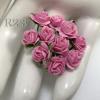 100 Mini 1/4" or 1cm Solid Pink Open Roses