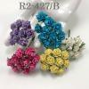   100 Mini 1/4" or 1cm Mixed 5 Open Roses (4/15/185/266/400)
