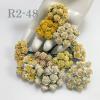  100 Mini 1/4" or 1cm Mixed All Yellow Open Roses