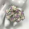 100 Mini 1/4" or 1cm HALF White - Purple Open Roses