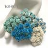  100 Size 1/2" or 1.5 cm Ocean Blue Mixed Open Roses