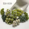 100 Size 1/2" or 1.5 cm Mixed Green Open Roses