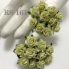 100 Size 1/2" or 1.5 cm Soft Green Open Roses