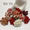   100 Size 1/2" or 1.5 cm Mixed All Red - White Roses