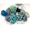 100 Size 3/4" or 2cm Mixed All Blue Open Roses