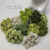  100 Size 3/4" or 2cm Mixed Green Open Roses
