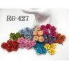 50 Size 1" or 2.5cm Mixed 10 Rainbow Open Roses (New)
