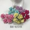 50 Size 1" or 2.5cm  Mixed 5 Open Roses (4/15/185/266/400)