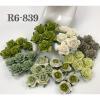 50 Size 1" or 2.5cm Mixed All Green - White Roses