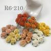 50 Size 1" or 2.5cm Mixed Fall Open Roses 