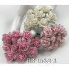  100 Size 3/4" or 2cm Mixed 3 Open Roses (2/3/15)