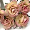 50 Size 1" or 2.5cm Cream - Pink EDGE Variegated
