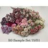 75 Size 1" or 2.5cm Mixed 15 Colors Open Roses 