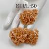  100 Size 3/4" or 2cm Peach Summer Cottage